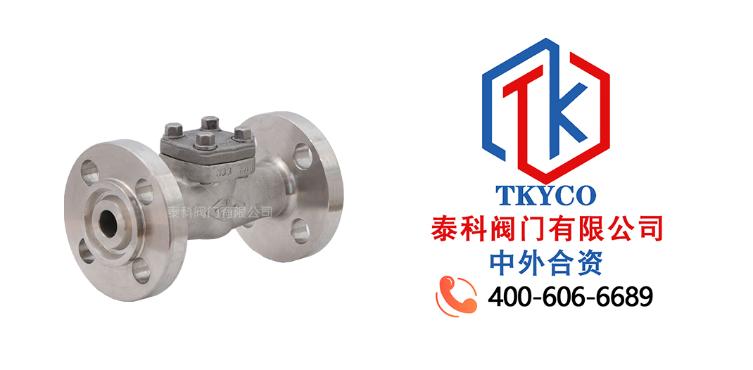 旋啟式止回閥拼圖